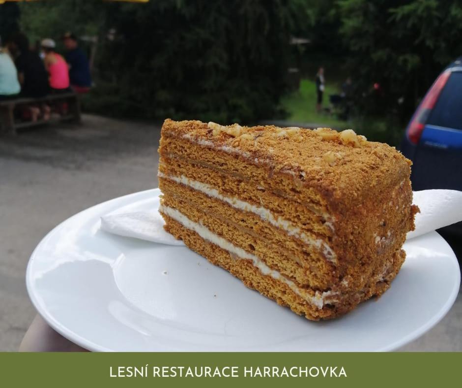 Lesni Restaurace Harrachovka 호텔 타보르 외부 사진